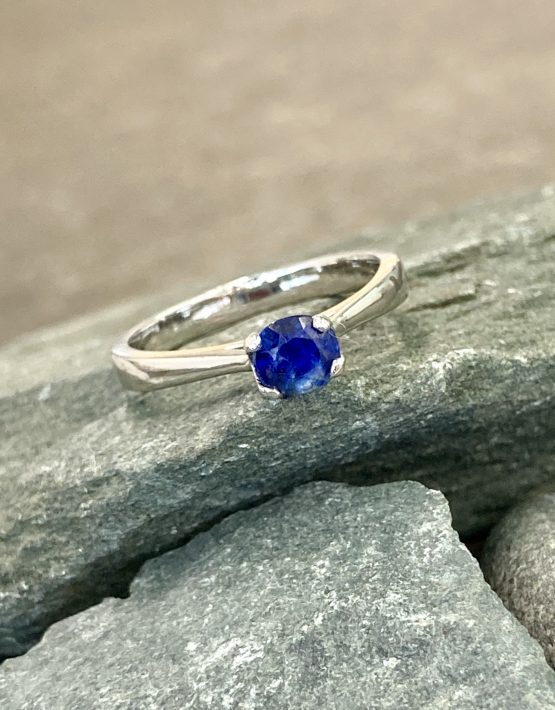 9A86890A-5B3E-4CE5-8284-587F1AF50C43_1_201_a